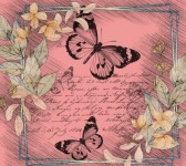 Vintage French Style Butterfly Art