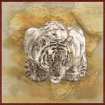 Tiger Africa Travel Poster
