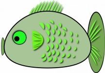 Green Fish Drawing