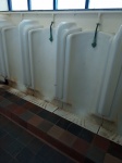 Urinal Toilets