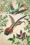 Hummingbird Vintage Art Poster