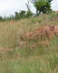 Large Rocks On The Side Of A Hill