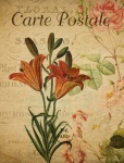 Lily Vintage Floral Postcard
