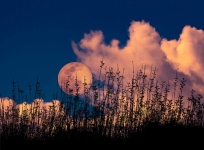 Moon Rise Over Meadow With Clouds