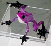 Ornamental Ceramic Frog