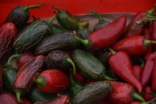 Pacilla Peppers