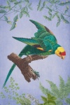 Parrot Bird Vintage Poster