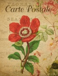 Peony Vintage Floral Postcard