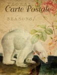 Polar Bear Vintage Postcard