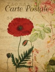 Poppy Vintage Floral Postcard