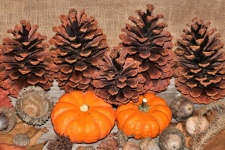 Pumpkins And Pine Cones
