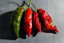 Red And Green Chilis