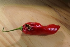 Red Chili With A Hole In On Wood
