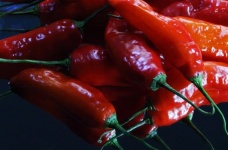 Red Chilis On A Mirror Surface