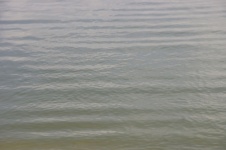 Rippled Water Background