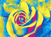 Rose Pop Art Art