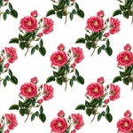 Roses Vintage Wallpaper Backdrop