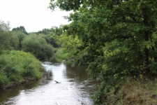 The Tanew River