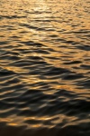Sea Surface At Sunset