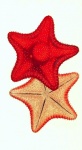 Starfish Vintage Painting Art