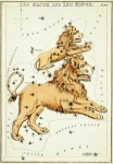 Zodiac Astrology Leo