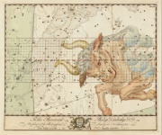 Zodiac Astrology Taurus