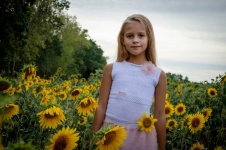 Sunflowers, Field, Girl, Child