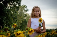 Sunflowers, Field, Girl, Child