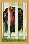 Thanksgiving Vintage Turkey Card