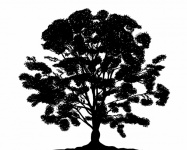 Tree Black Silhouette Clipart