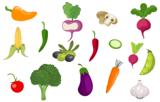Vegetables Clipart Illustration