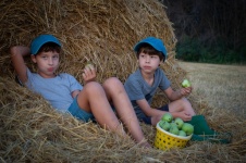 Village Children, Farm,