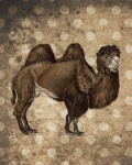 Vintage Camel Poster