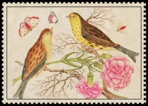 Bird Flower Vintage Art