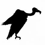 Vulture Black Silhouette Clipart