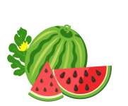 Watermelon Fruit Illustration Art