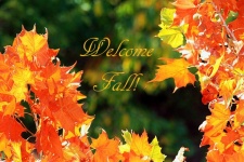 Welcome Fall Autumn Leaves