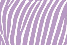 Zebra Stripes Pattern Lavender