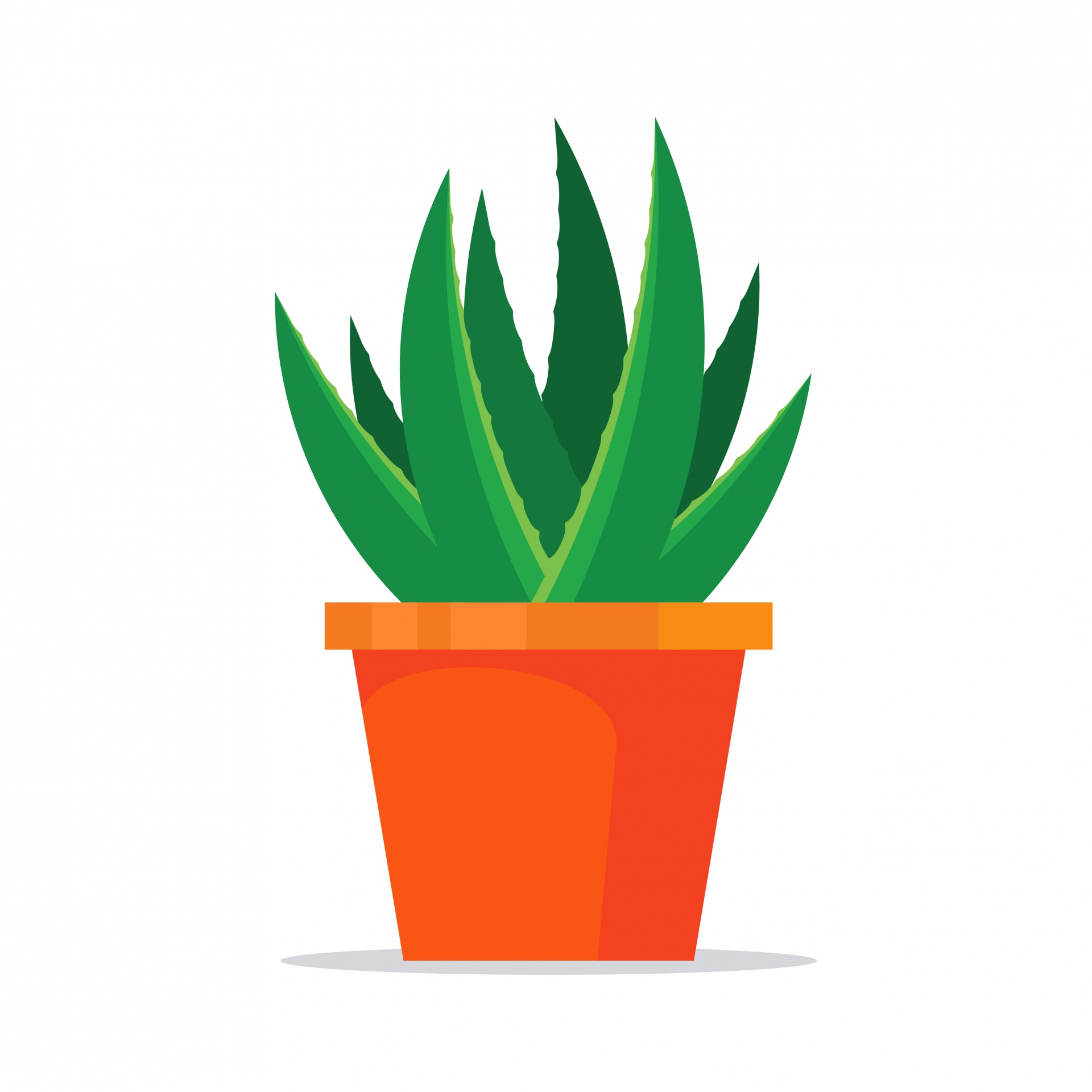 Vector illustration of an aloe plant in pot clipart on white background