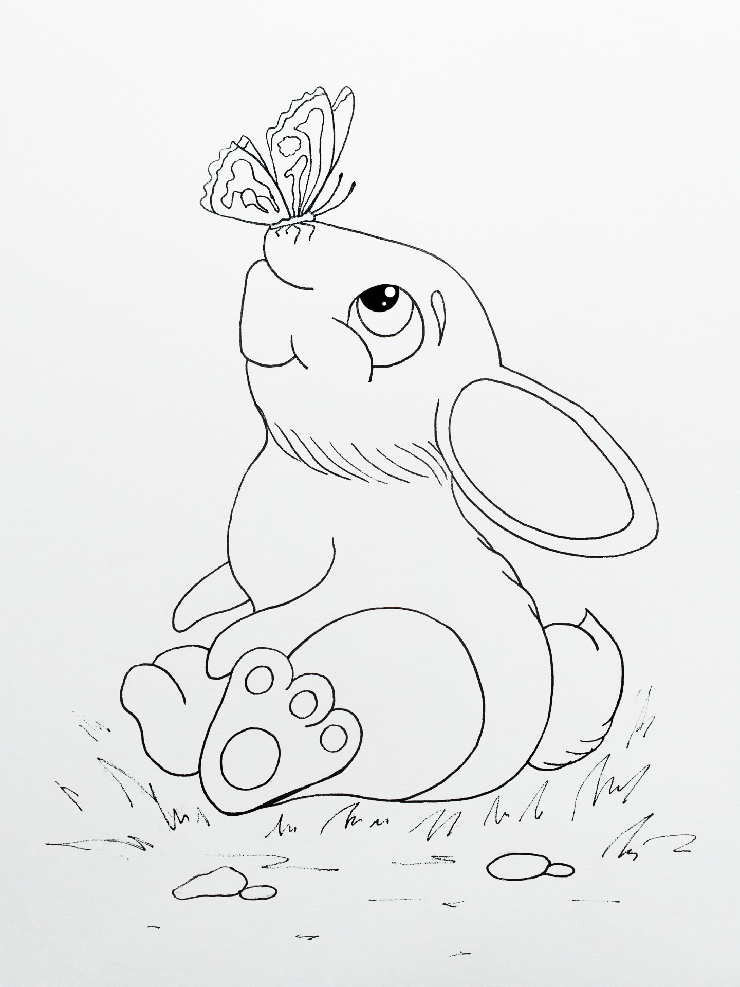 bunny, sketch, cute, drawing, sketch
