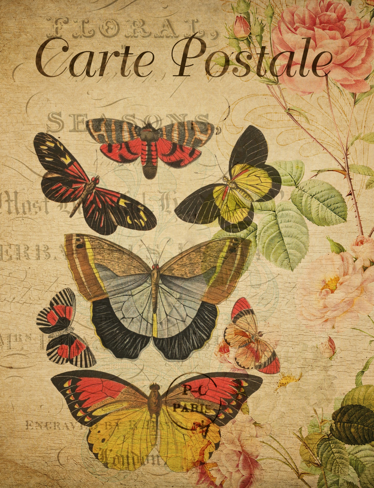 Set of beautiful vintage butterflies clipart on french floral postcard