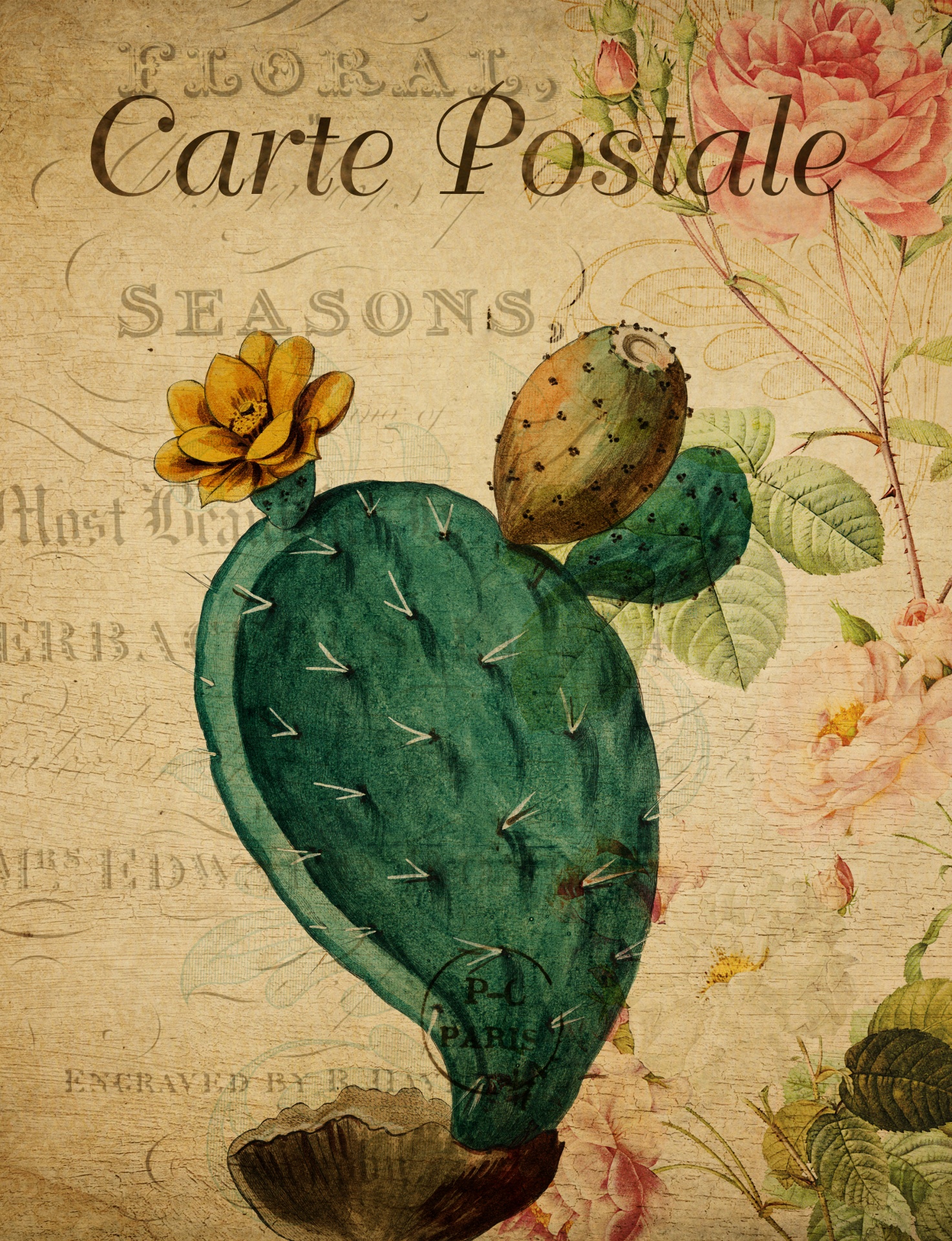 Cactus Vintage Floral Postcard