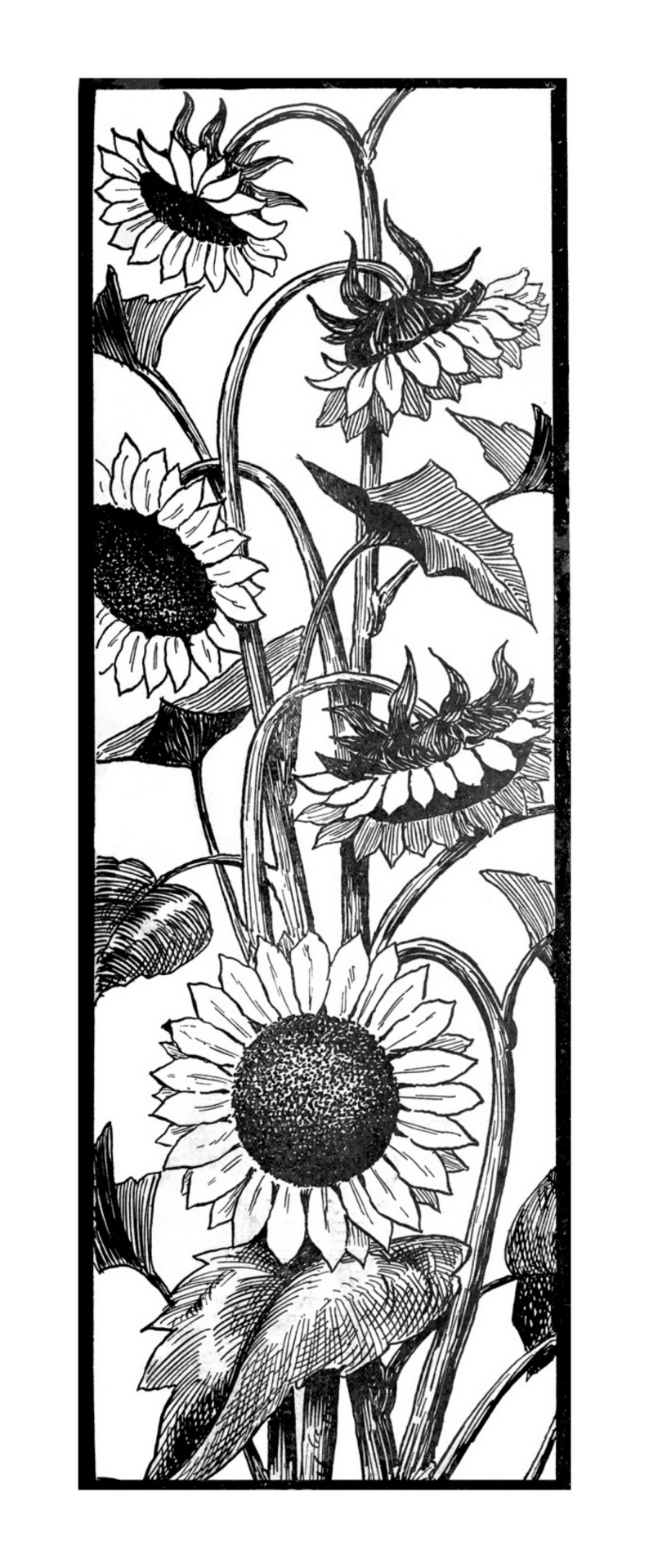 Clipart Bookmarks Sunflowers