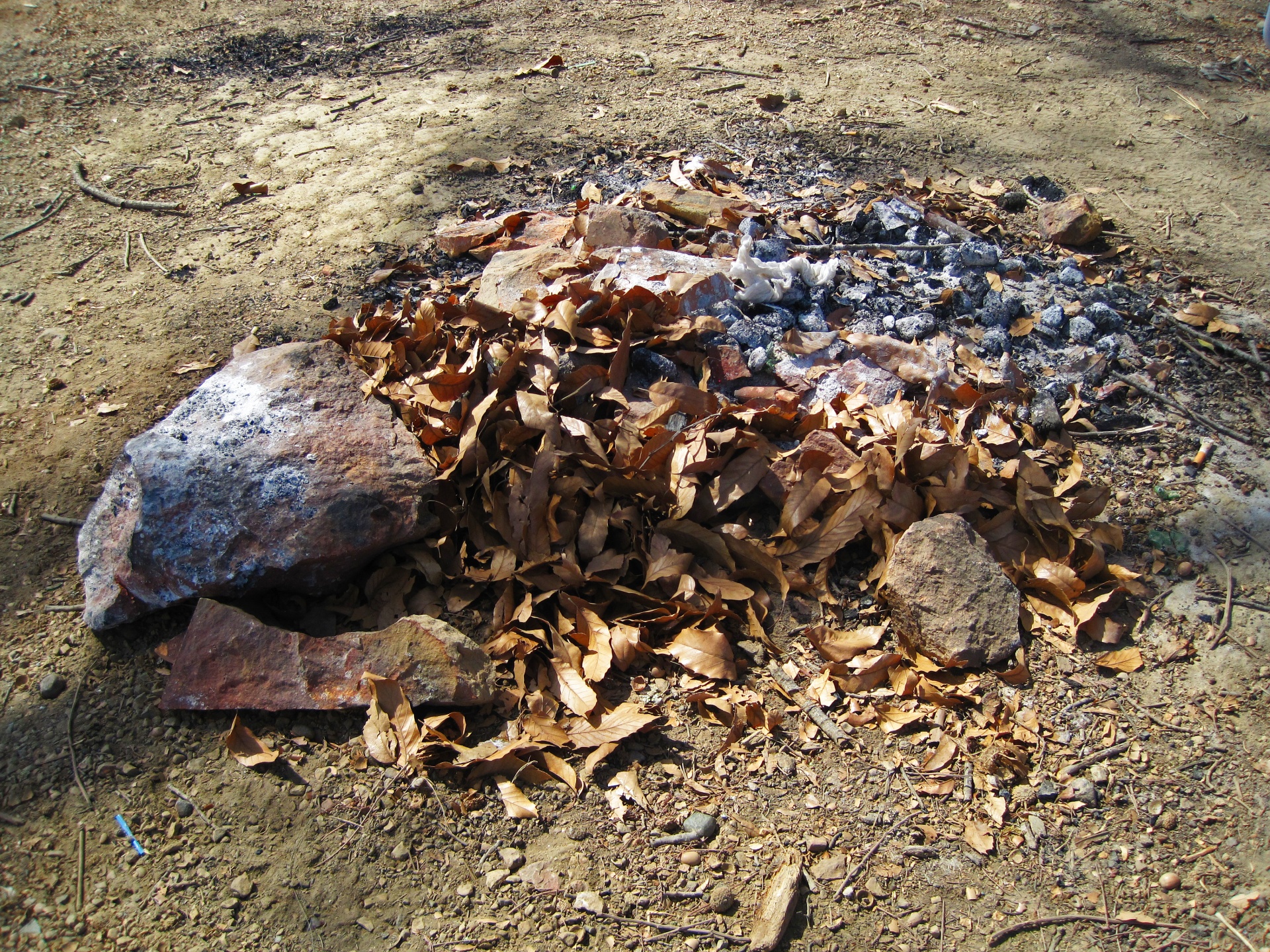 Dead Leaves On Burnt Out Coal & Ash