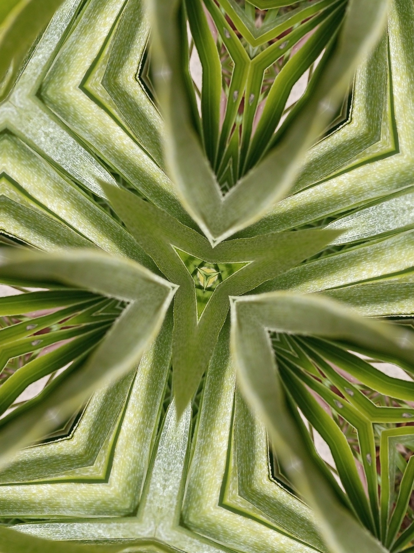 Palm Tree Close Up Green Pattern