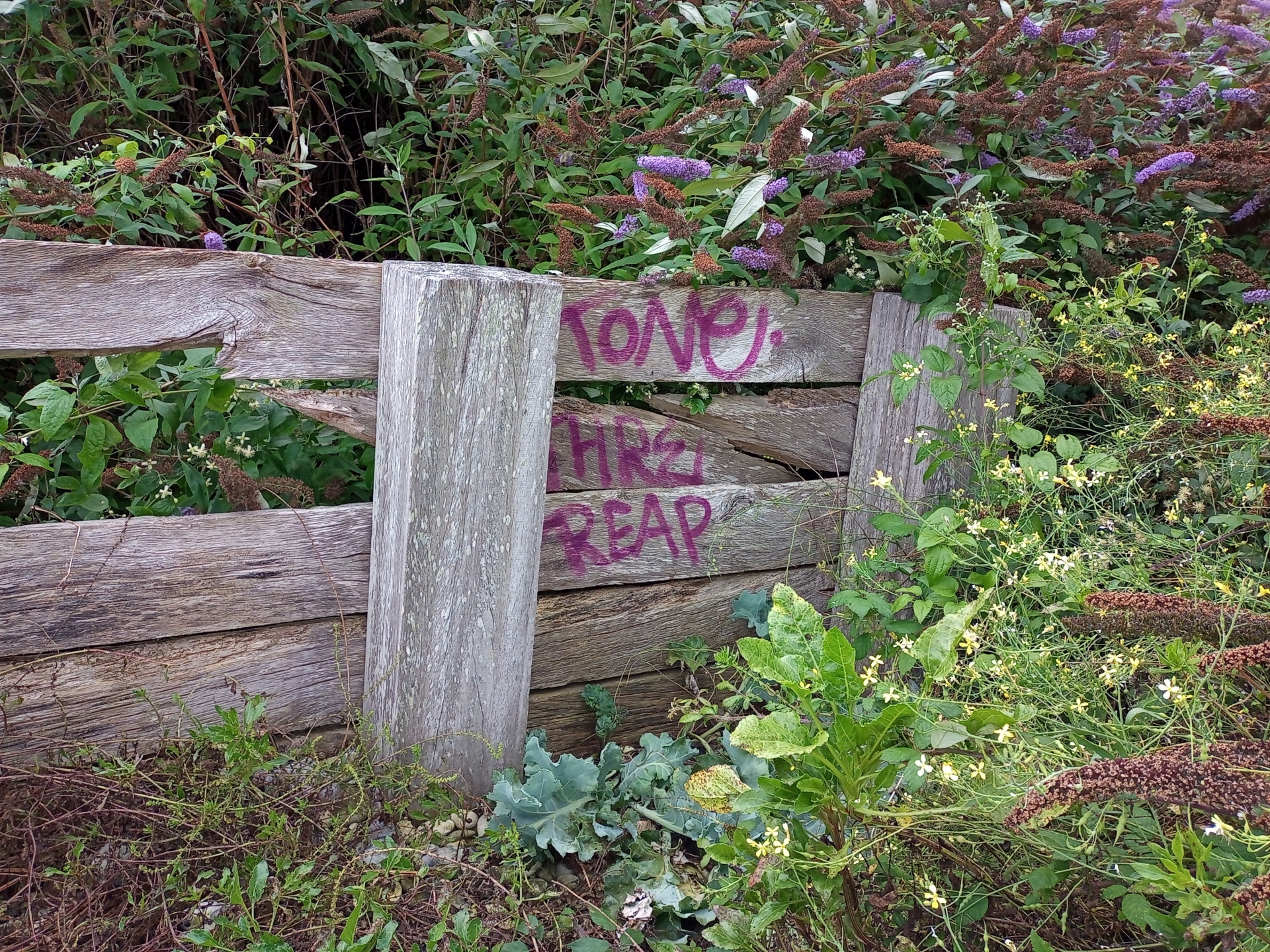 Graffiti On Walk Wood