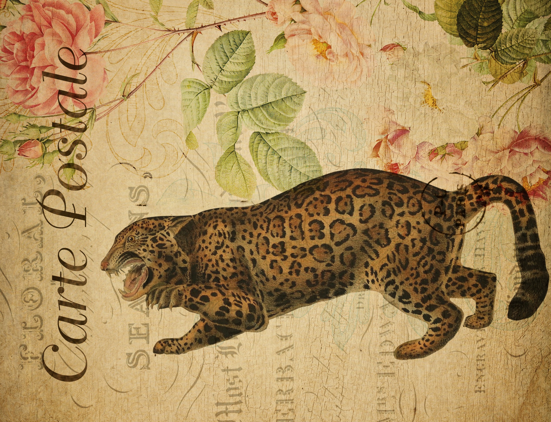 Antique illustration of a jaguar on vintage french floral postcard