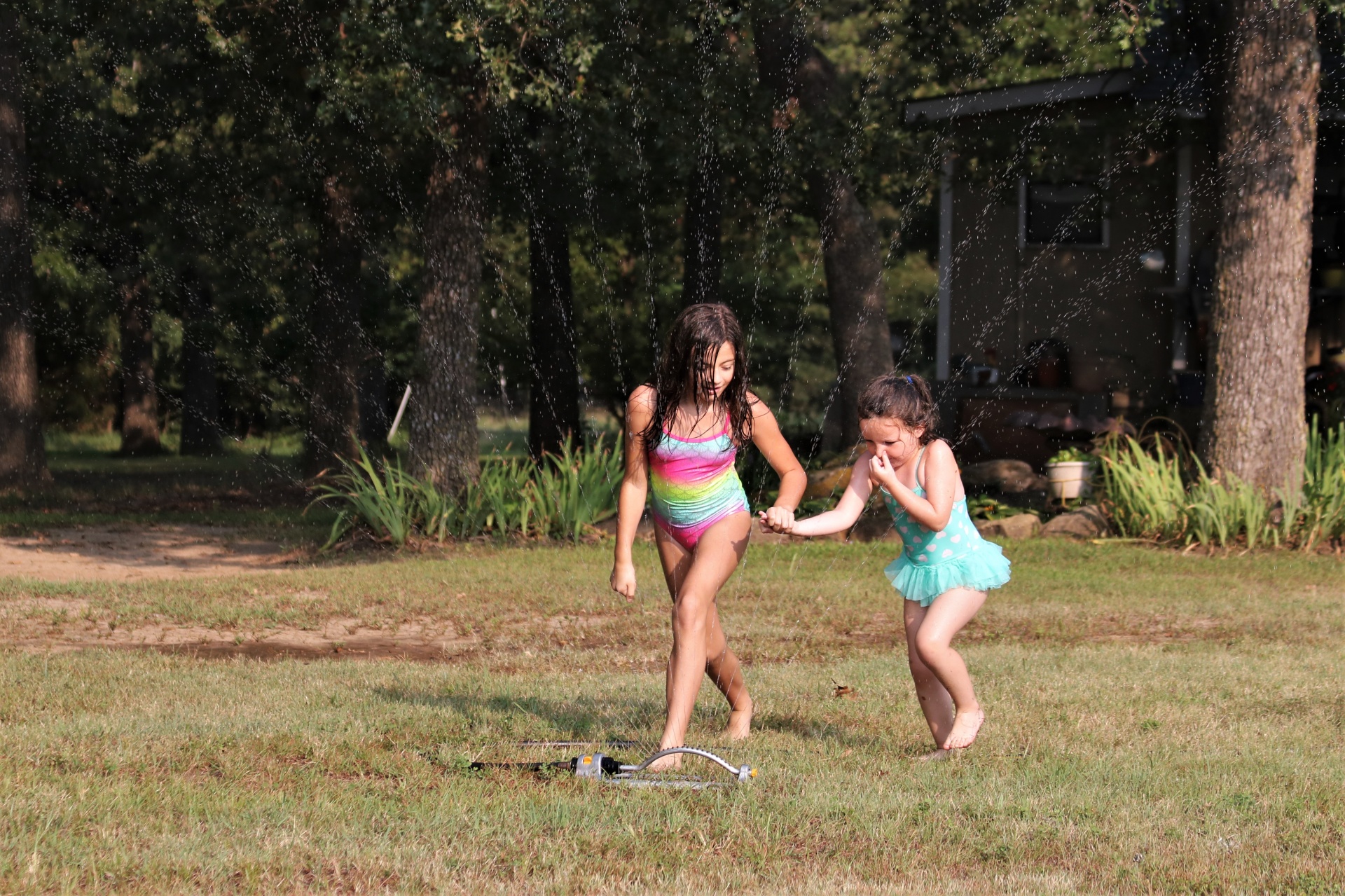 Kids Playing In Water Sprinkler