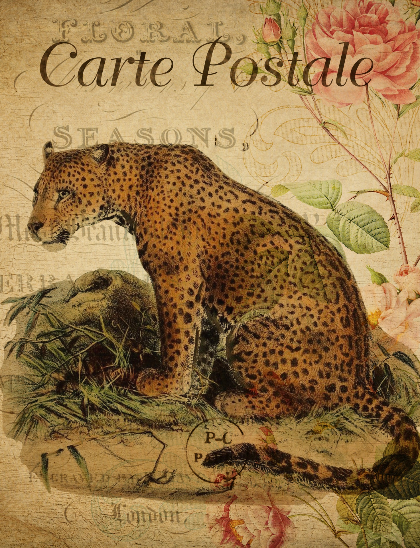 Leopard sitting in its environment vintage art on french floral postcard