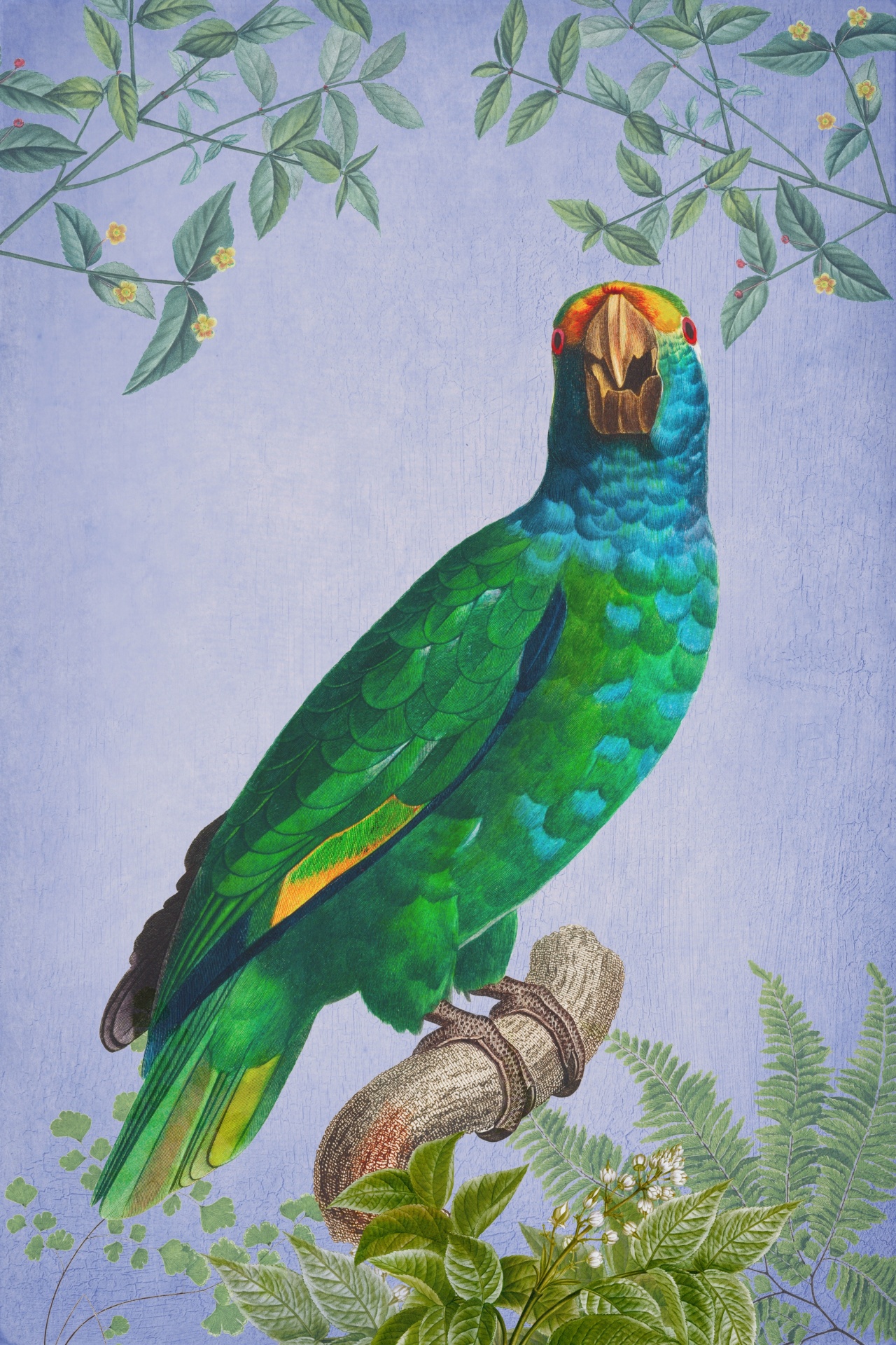 Parrot amazon bird flowers branches vintage art poster collage diverse clipart on old paper with blue background